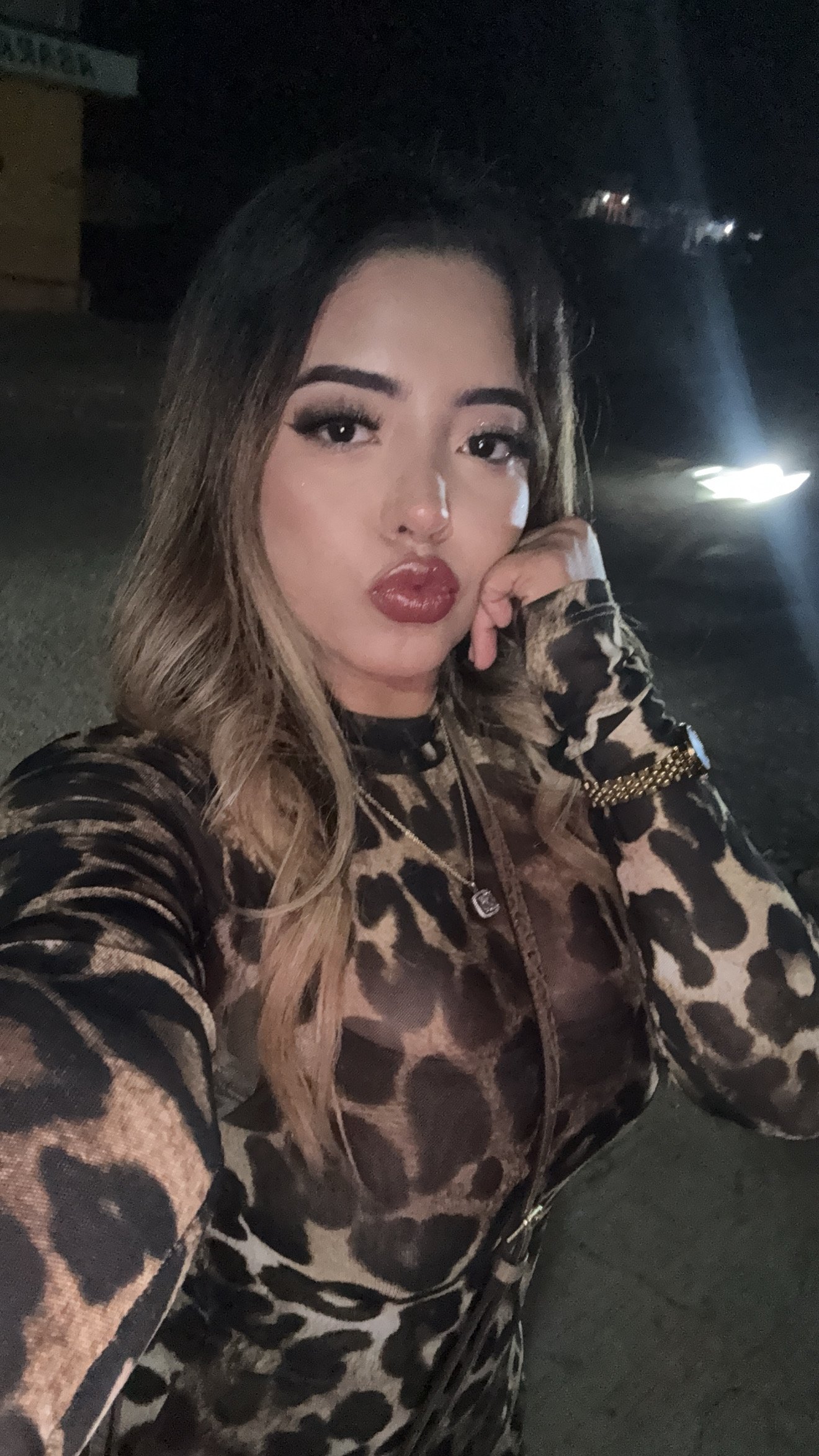 Diana MB Profile